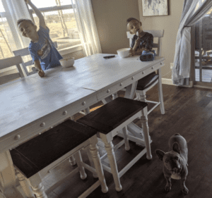 Frenchie Friday June 11th, 2021