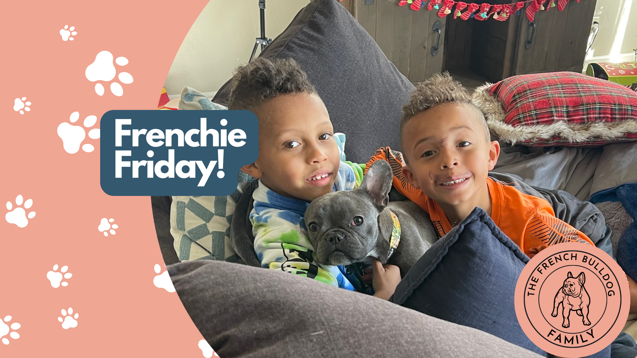 Frenchie Friday December 31st, 2021