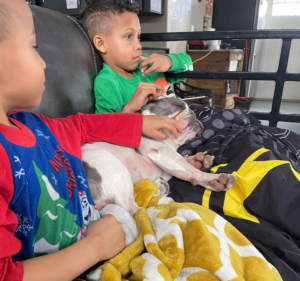 Frenchie Friday January 28th, 2022