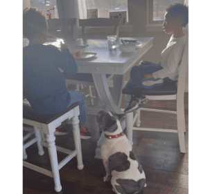 Frenchie Friday January 14th, 2022