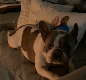 Frenchie Friday February 18th, 2022