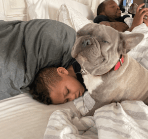 Frenchie Friday February 11th, 2022