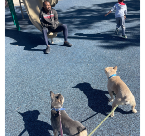 Frenchie Friday - The French Bulldog of Colorado-March 18th, 2022