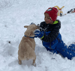 Frenchie Friday - The French Bulldog of Colorado-March 18th, 2022