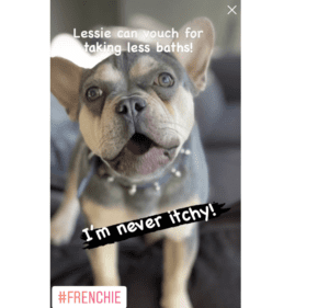 Frenchie Friday March 4th, 2022