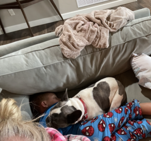 Frenchie Friday May 6th, 2022