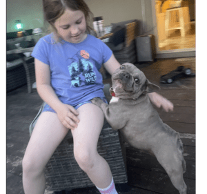 Frenchie Friday June 17th, 2022