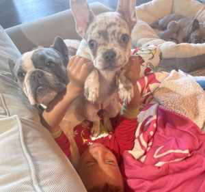 Frenchie Friday  June 10th, 2022
