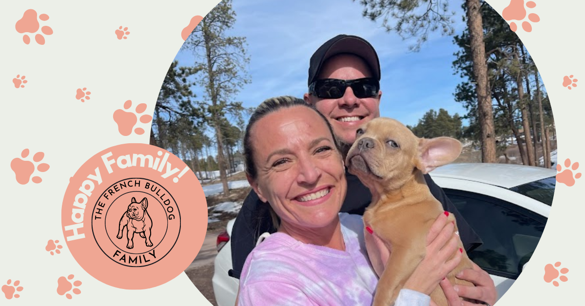 Brantley | Lilac Fawn Male French Bulldog | Born 10/1/22