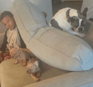 Frenchie Friday  December 2nd, 2022
