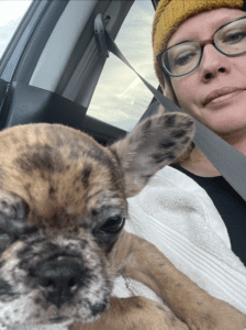 Frenchie Friday February 10th 2023