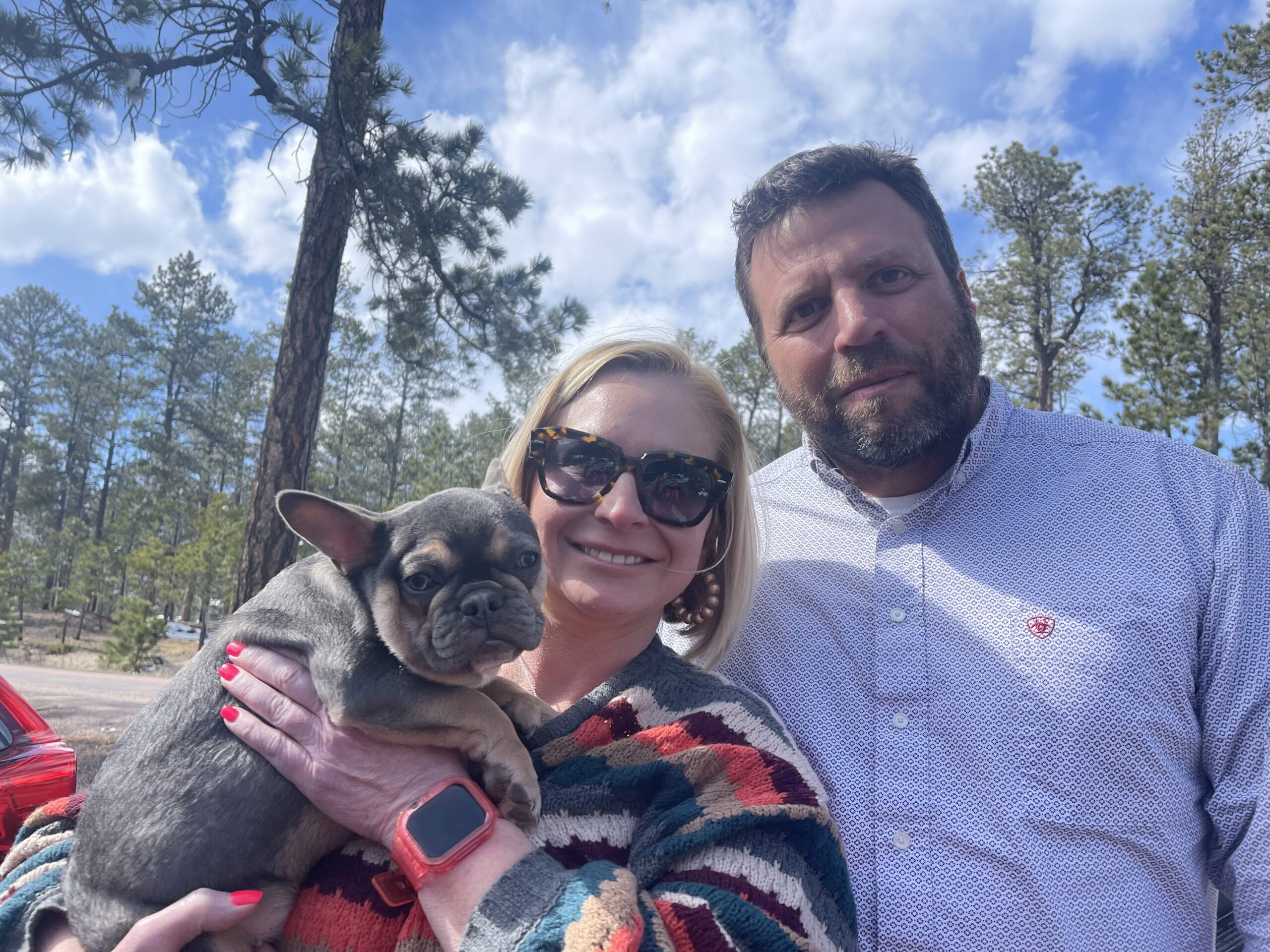 Paris | Blue and Tan French Bulldog Female | Adopted