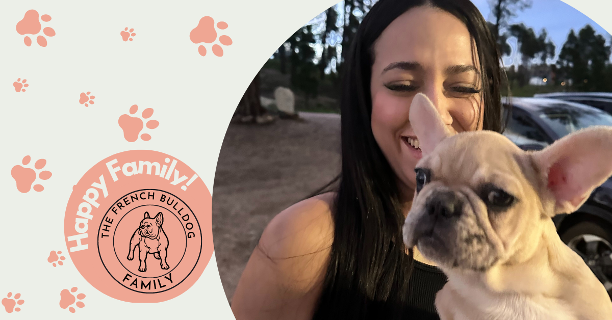 Cookie | Fawn Merle French Bulldog Female | Adopted