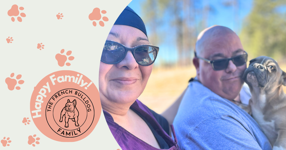 Otis | Lilac Fawn & White French Bulldog Male | Adopted