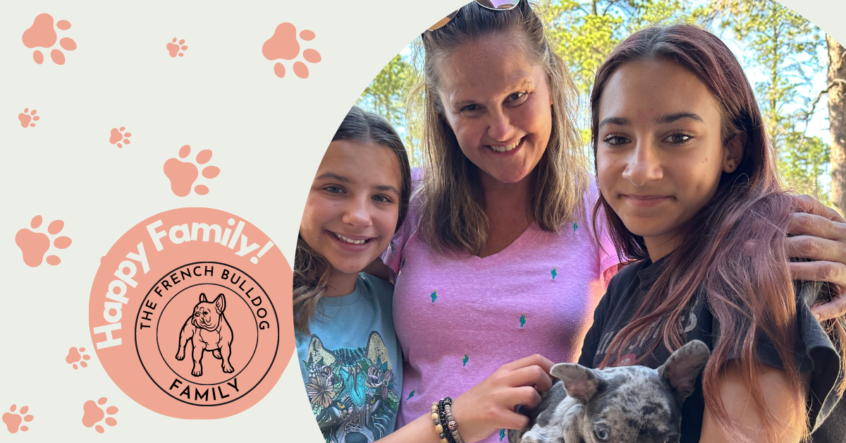 Jade | Blue Merle French Bulldog Female | Adopted