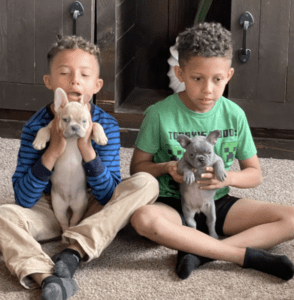 Frenchie Friday May 5, 2023