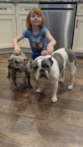 Frenchie Friday July 14, 2023