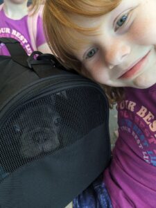 Frenchie Friday July 14, 2023