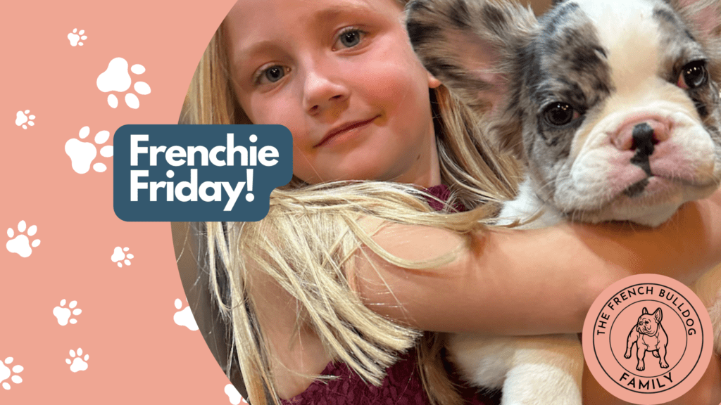 Frenchie Friday Oct 13, 2023