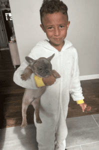 Frenchie Friday Nov 03, 2023