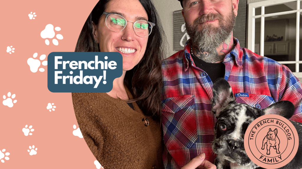 Frenchie Friday Nov 10th, 2023