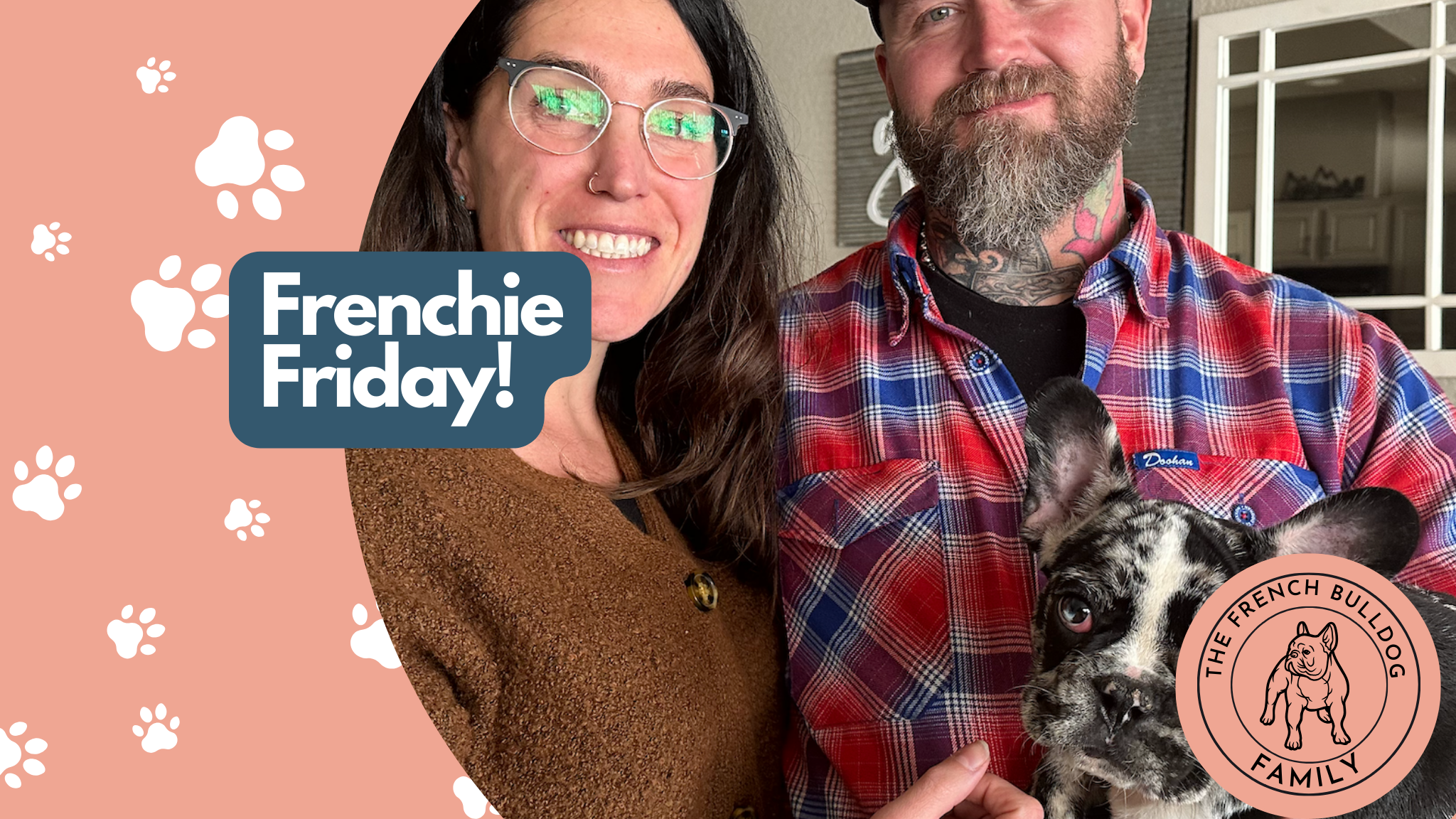 Frenchie Friday Nov 10th, 2023