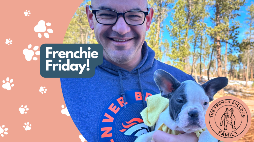Frenchie Friday Nov 24th, 2023