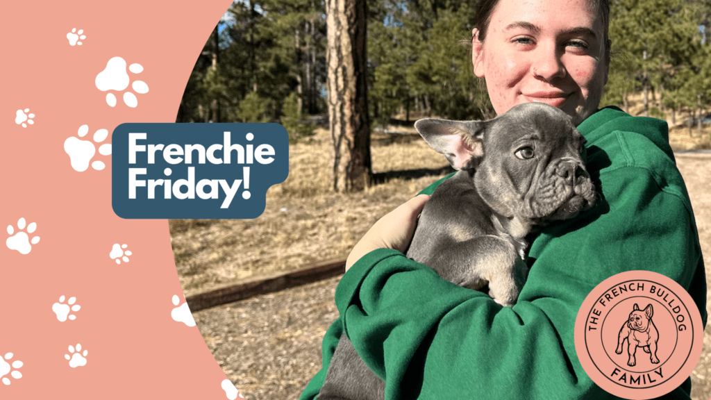 Frenchie Friday Dec 01st, 2023