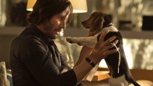 French Bulldog in John Wick movie