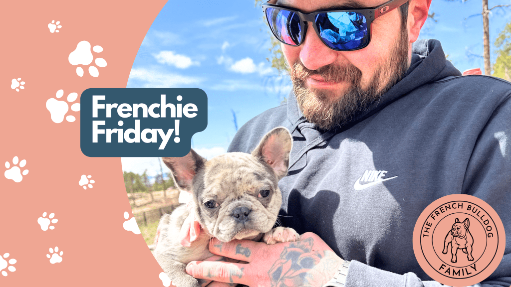 Frenchie Friday Apr 12th, 2024