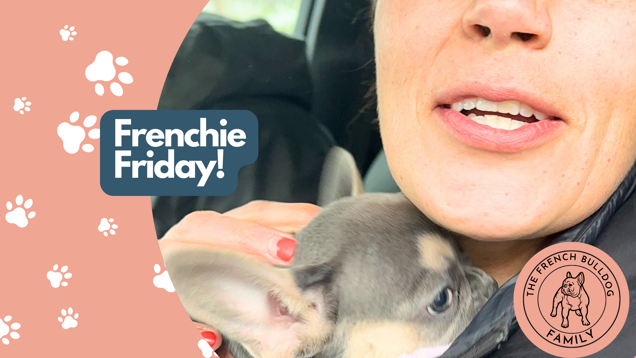 Frenchie Friday May 3rd, 2024
