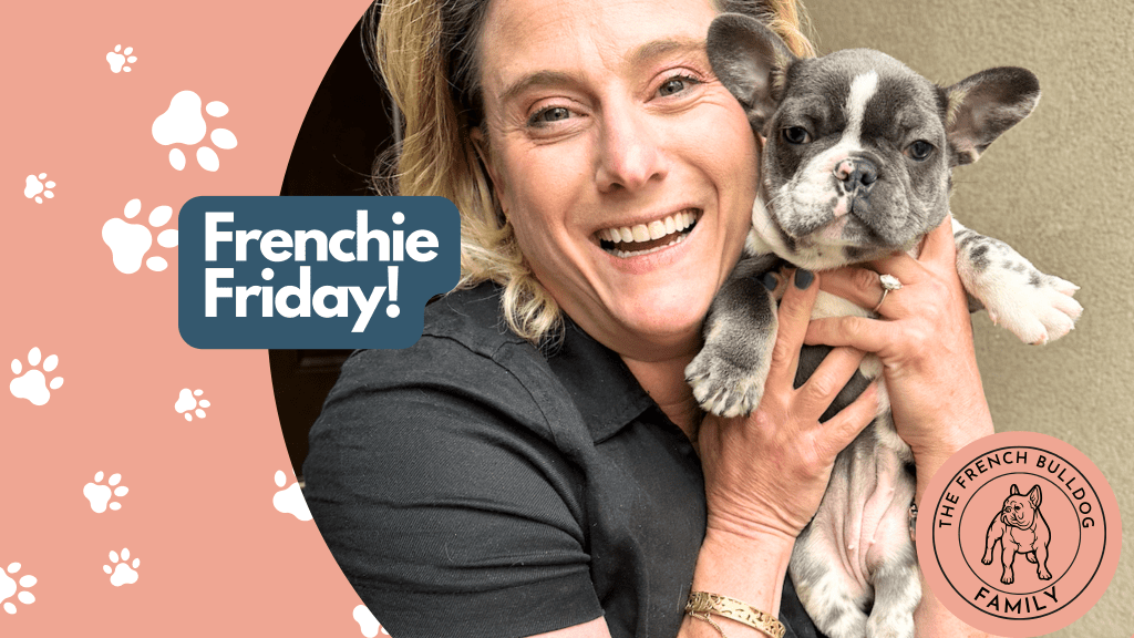 Frenchie Friday May 10th, 2024