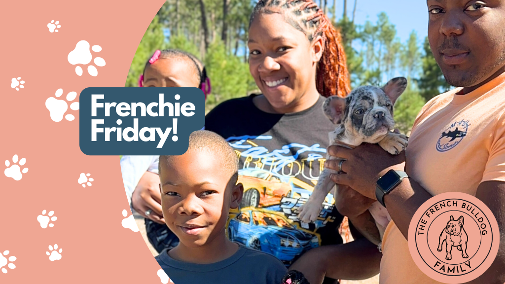 Frenchie Friday July 12th, 2024