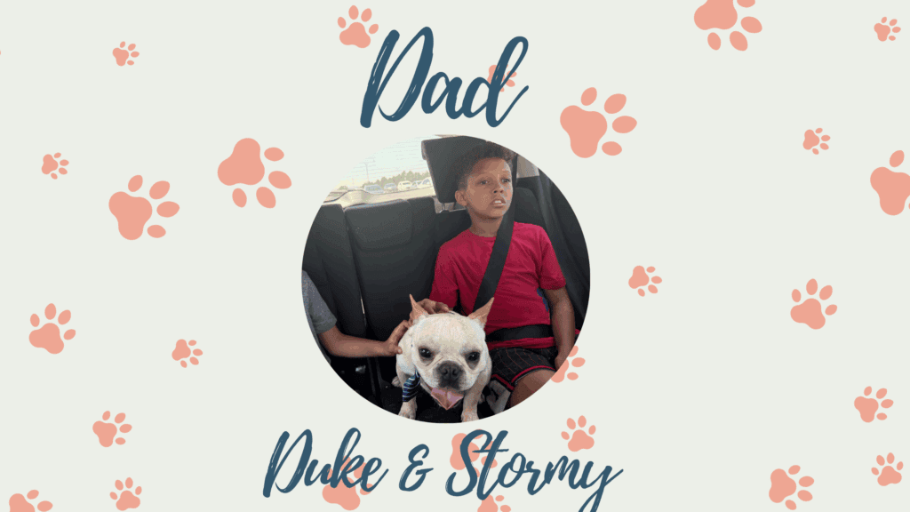 Stormy & Duke Frenchie's parents
